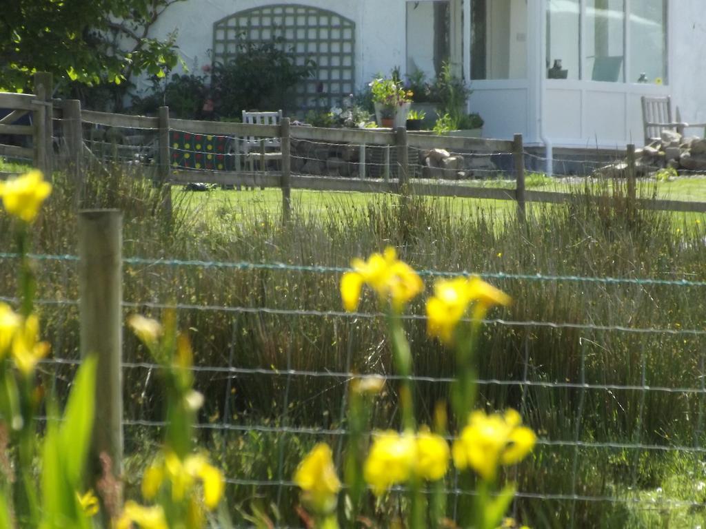 The Swallows Guest House New Quay  Pokoj fotografie