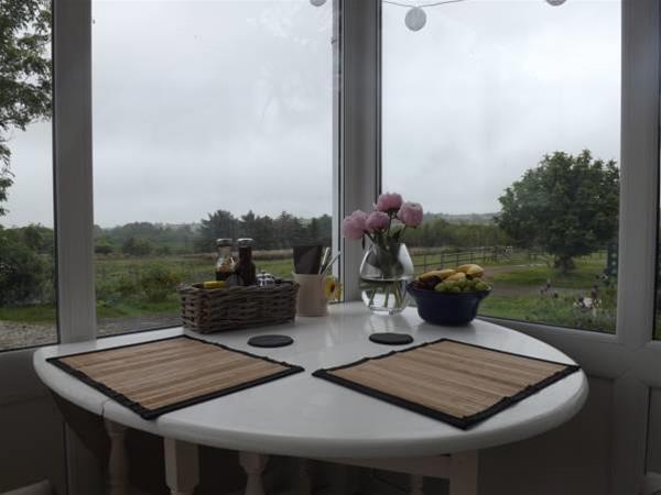 The Swallows Guest House New Quay  Exteriér fotografie